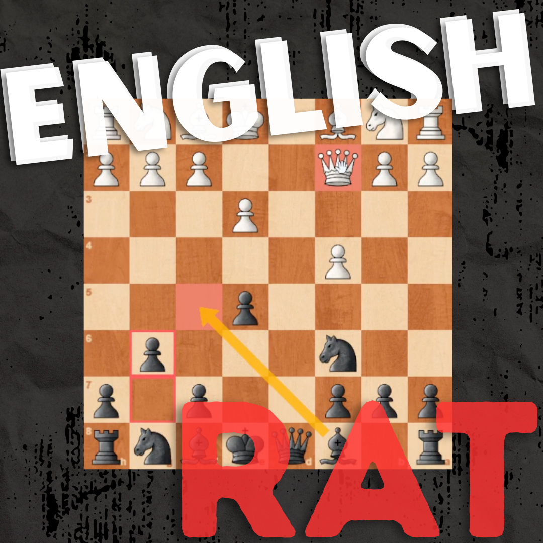 DEFENSA ENGLISH RAT